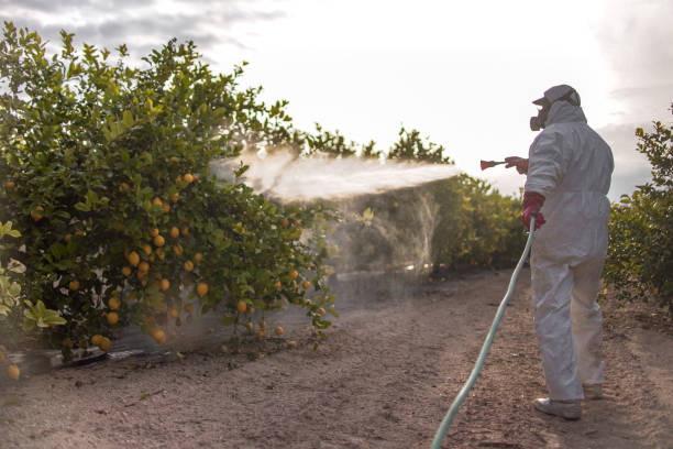 Best Pest Prevention Services  in Pinecrest, FL