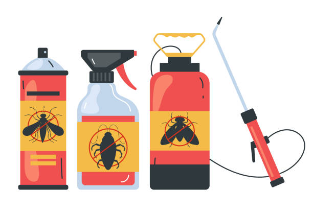 Best Affordable Pest Control Services  in Pinecrest, FL